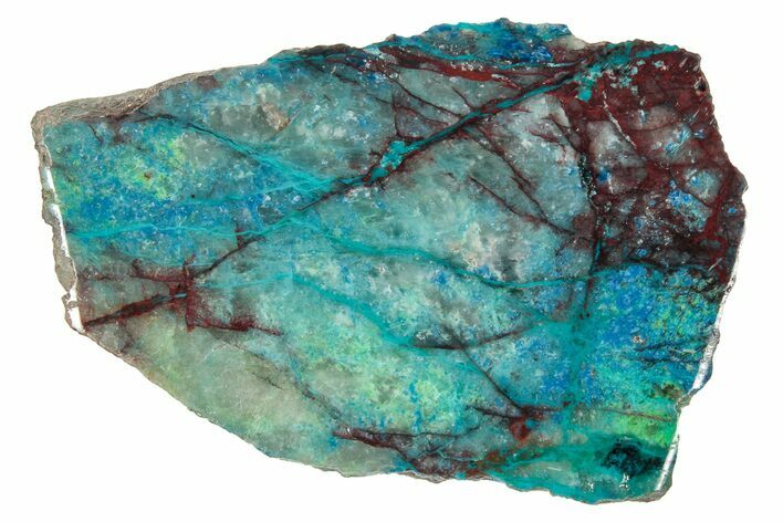Vibrant Chrysocolla and Shattuckite Slab - Mexico #348730